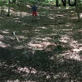bild8