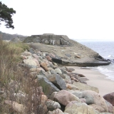 stramitt1