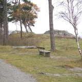 straover