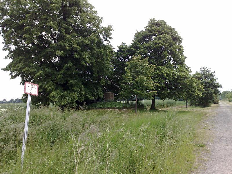 20080527368.jpg