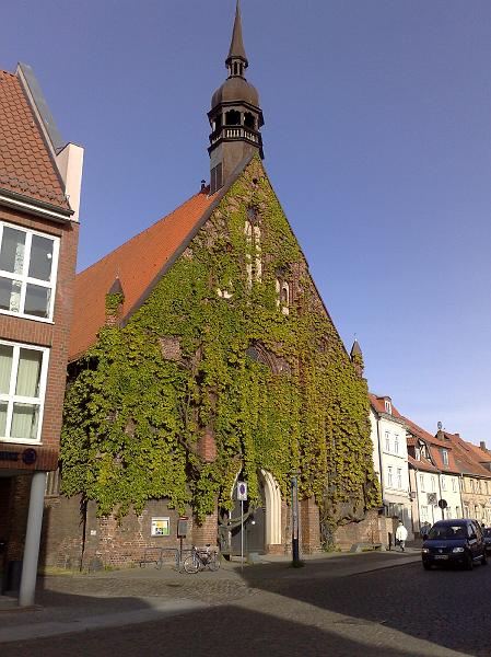 20080528497.jpg