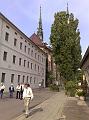 20080528429